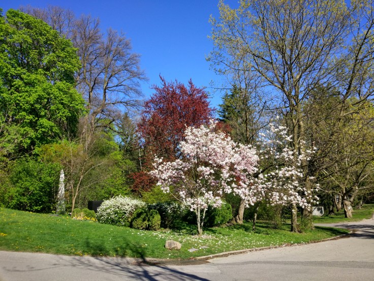 img_20180513_170102_hdr